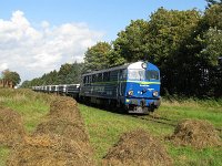 15.09.2011, godz. 14:39 przystanek Drygały. SU46-004 z pociągiem z podkładami z podsuwalskiej Papierni.
