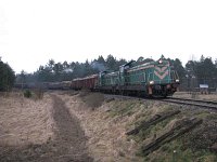 11.03.2008, Nowa Wieś Ełcka, SM42-377 i SM42-? z pociągiem TKMSc 790 Ełk - Pisz